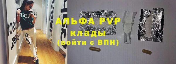 СК Алексин