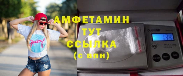 СК Алексин