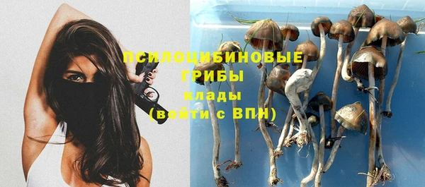 каннабис Абинск