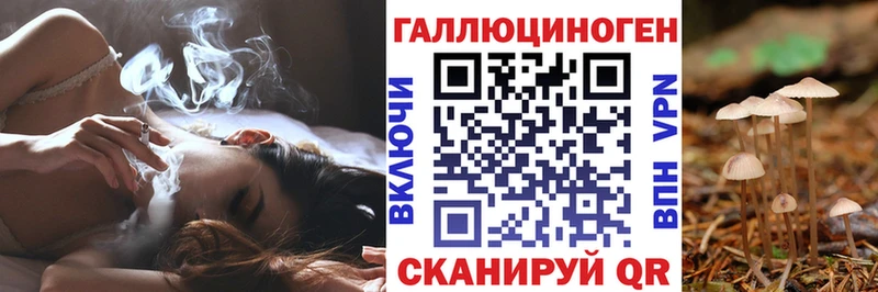где найти наркотики  Староминская  Псилоцибиновые грибы прущие грибы 