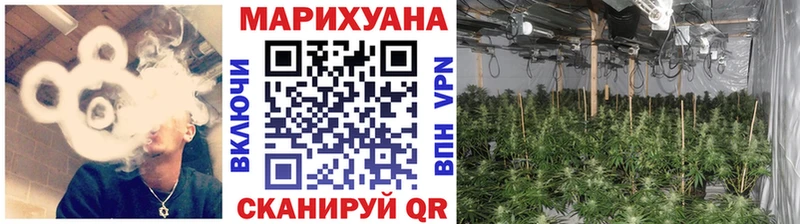 где найти наркотики  Староминская  Бошки марихуана индика 